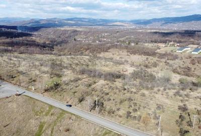 Teren Extravilan Valenii de Munte 11931 mp - 4