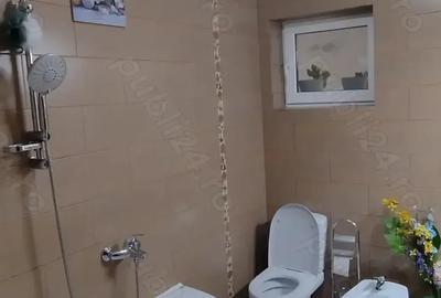 Casa Geamana Bradu , 466 mp teren - 3