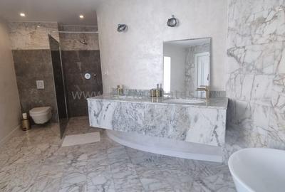 PIPERA IANCU NICOLAE VILA LUX RENOVATA COMPLET 2022 - 46