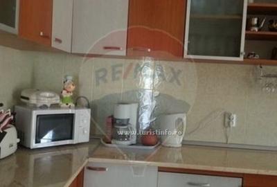 Vila/Casa de vacanta la munte (D+P+E+M) - Prahova - Provi... - 6