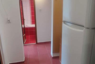 Apartament cu 2 camere decomandat în Lacul Tei - 8