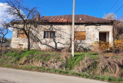 Vand Casa-Conac in Zgribesti -Timis - 2