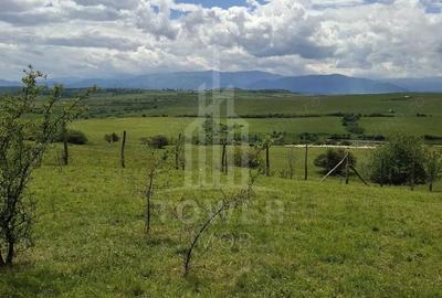 Teren de 11500 mp, în Daia - 8