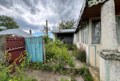 Casă individuală cu 4 camere cu Teren 4430 Mp în Tecucelu Sec - 14