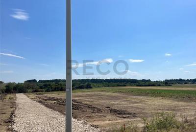 RECO Teren intravilan pentru casa- Les cu PUZ aprobat - 3