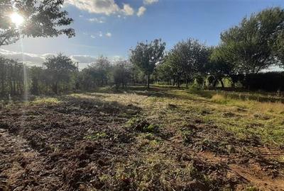 Gradina de vanzare intre Cristian si Orlat Gradina de vanzare intre Cristian si Orlat - 5