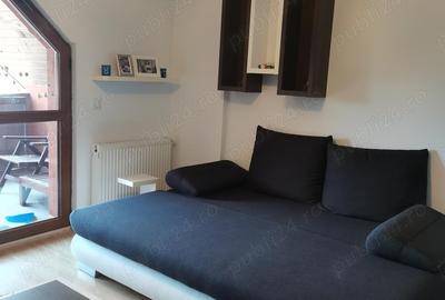 Inchiriere apartament cu trei camere - 10