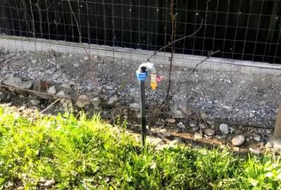 Teren de 5300 mp, în Voinești - 7
