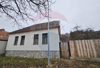 CASA 3 CAMERE SINCA NOUA / 5650 mp teren - 21