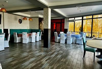 Hotel/Pensiune, de 20 mp, în Bogdan Vodă - 4