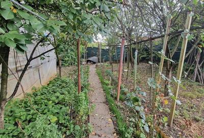 De vanzare casa individuala Calea Ghirodei - 1