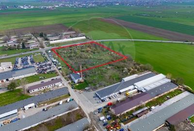 Teren 1,5ha intravilan curti constructii de vanzare Centura Arad Nord - 6