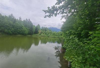 FILM! Oaza paradisiaca cu lac, vedere catre Bucegi, Glajerie/ Rasnov, pretabil C - 48