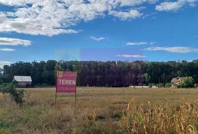 Gulia teren 11.157 mp, langa Padurea Cereanca - 1