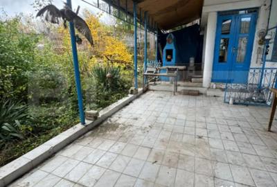 Casă cu 4 camere cu Teren 1488 Mp în Pestișu Mic - 15