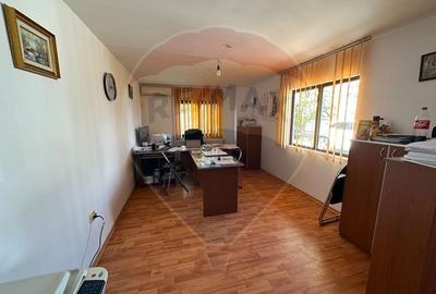 Spațiu industrial, de 5,000 mp, în Tișița - 22