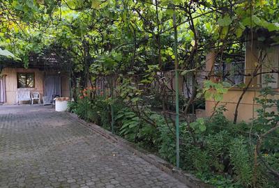 Casă cu 6 camere în Sintea Mare - 6