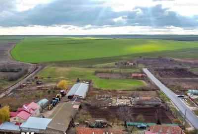 Vanzare ferma agricola Negru Voda - Constanta cu 240 hectare teren si utilaje - 4