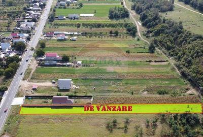 Teren Comuna Bolotesti - 4