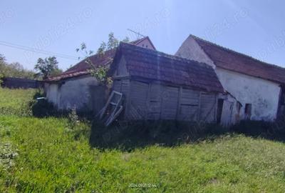 Casă cu 4 camere cu Teren 3000 Mp în Alioș - 15