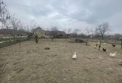 Casă cu 4 camere în Buteni - 1