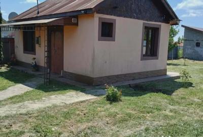 Casă cu 7 camere în Albeni - 1