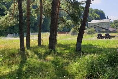 De vanzare CAMPING DARSTE - 20