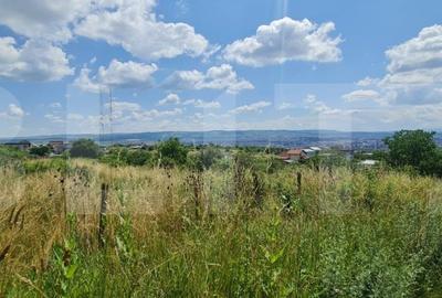 Teren, 1000 mp, Iris - 3