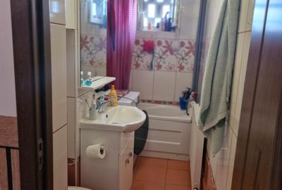 Apartament cu 2 camere nedecomandat, mobilat în Șagului - 15