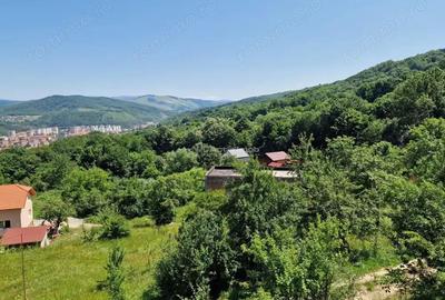 Resita Terenuri Urbane Intravilane Cartier Francez, 450mp, 600mp, 714mp, 736mp,si 1037mp - 4