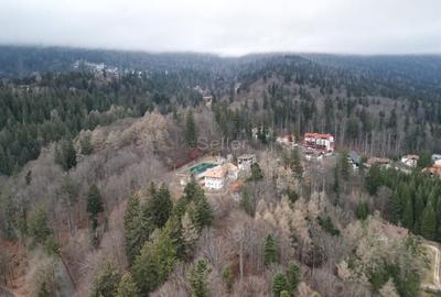 Teren Construcții intravilan de 1700 mp, în Castelul Peleș - 7