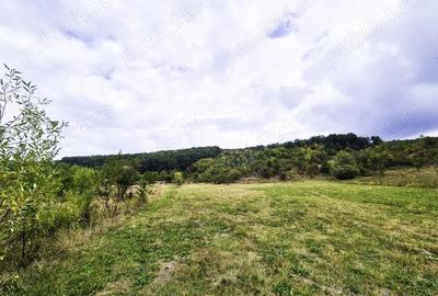 Teren de 7300 mp, în Drăganu - 5