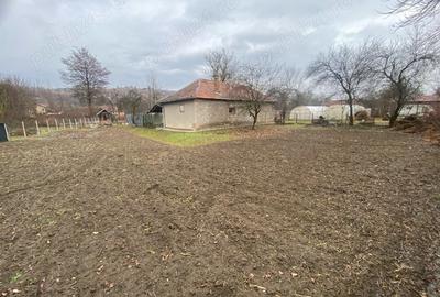 Casă cu 2 camere în Pestișu Mic - 2