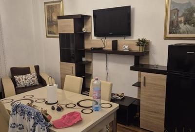 Calea Victoriei apartament 2 camere mobilate de inchiriat - 16
