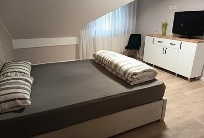 Mosie de vanzare in Plesoiu, Olt, direct de la proprietar - 1