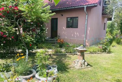 Comuna Marzanesti, sat Valea Parului, str Lalelelor, Teleorman - 9