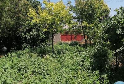 Casa renovabila cu teren mare central Techirghiol - 5