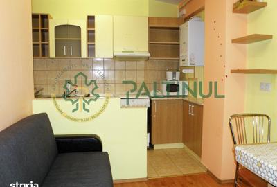 Garsonieră decomandată, mobilată în Turnișor - 4