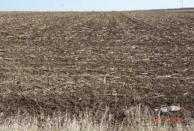 Teren extravilna Cota parte 1/16, CObadin, ID: R2782865 - 5