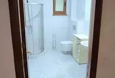 IInchiriez apartament superb de 2 camere cu parcare privata in zona Bucium - 2