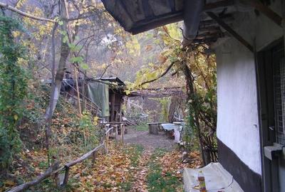 Teren agricol intravilan de 20374 mp, în Schei