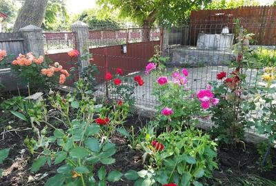 Casă cu 3 camere cu Teren 2000 Mp în Deleni - 4