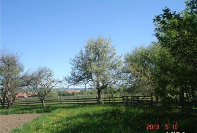 Casă cu 3 camere cu Teren 4000 Mp în Iacobeni - 3