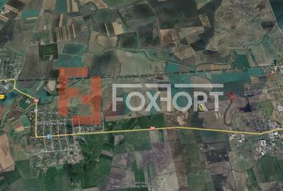 COMISION 0% Teren Extravilan Agricol, Beregsau Mare - Zona in dezvoltare - 5