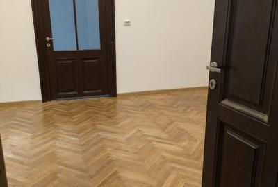 Proprietar, casa individuala, Cismigiu, de inchiriat - activități comerciale. - 16