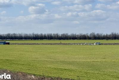 Teren de 444 mp, în Central - 10