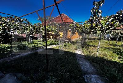 Doua casa de vanzare, teren intravilan 1773 mp, zona Stoloja - 10