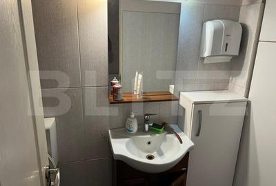 Proprietate de inchiriat 13 camere, 200 mp, zona ultracentrala - 9