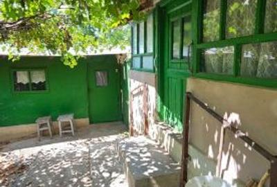 Casa la curte lângă balta Mostistea Casa la curte lângă balta Mostistea - 2