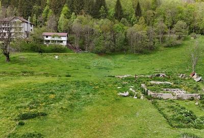 Teren Construcții intravilan de 10000 mp, în Sătic - 4